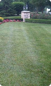 Lawn Care Services